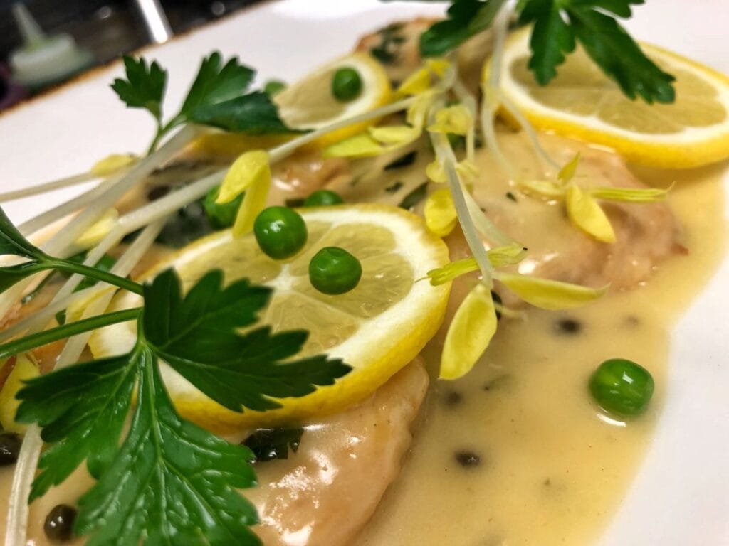 a dish of chicken picatta